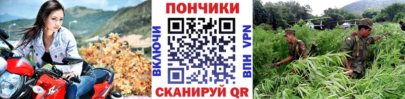 Марихуана план Сосногорск